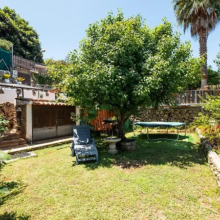 Hébergement de vacances La Hortensia Icod De Los Vinos